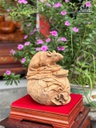 tuong-chuot-phong-thuy-go-ngoc-am-cao-26-ngang-26-sau-25-cm-480390