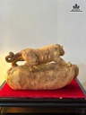 tuong-ho-go-nu-ngoc-am-cao-26-ngang-40-sau-14-cm-tu-kinh-48-x-52-x-26-cm-480404