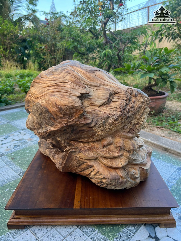 tuong-thiem-thu-go-po-mu-cao-41-ngang-55-sau-50-cm-480498
