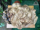 tuong-thiem-thu-go-nu-nghien-cao-23-ngang-41-sau-36-cm-480508