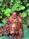tuong-phat-di-lac-tam-phuc-go-sua-cao-30-ngang-31-sau-20-cm-480533