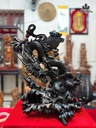 tuong-rong-nhat-long-go-trac-cao-54-ngang-37-sau-25-cm-480742