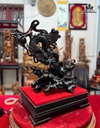 tuong-rong-nhat-long-go-trac-cao-54-ngang-37-sau-25-cm-480744