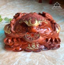 tuong-coc-ngam-tien-go-cam-cao-28-ngang-45-sau-30-cm-480809