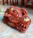 tuong-coc-ngam-tien-go-cam-cao-28-ngang-45-sau-30-cm-480811