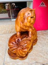 tuong-heo-go-ngoc-am-cao-42-ngang-46-sau-24-cm-21kg-480899