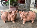 tuong-heo-go-huong-cao-28-ngang-39-sau-22-cm-480996