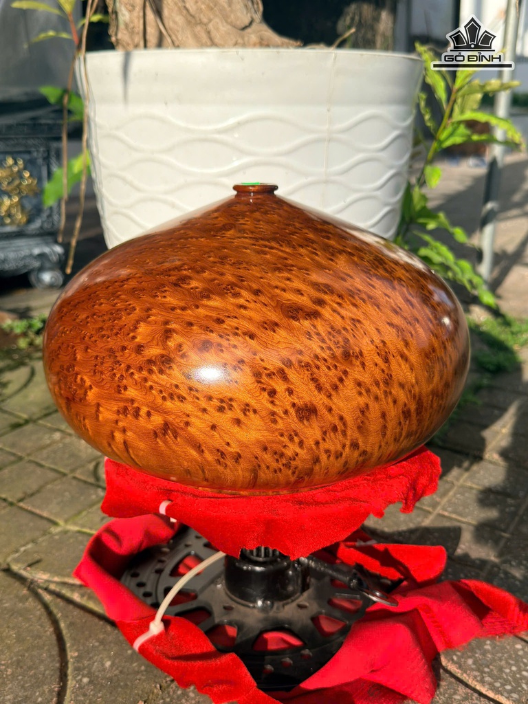 chum-phu-quy-go-nu-ngoc-am-cao-18-duong-kinh-30-cm-481014