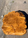 khay-tra-go-nu-khao-kich-thuoc-75x60x15-cm-481025