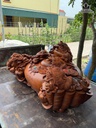 tuong-ngu-coc-tran-chum-phu-quy-go-huong-cao-68-ngang-120-sau-80-cm-481255