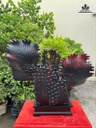 tuong-ca-xiem-go-trac-cao-67-ngang-67-sau-19-cm-481370