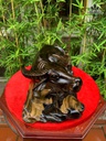 tuong-trau-go-mun-hoa-cao-15-ngang-40-sau-18-cm-481385