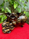 tuong-heo-go-mun-hoa-cao-19-ngang-28-sau-15-cm-481394