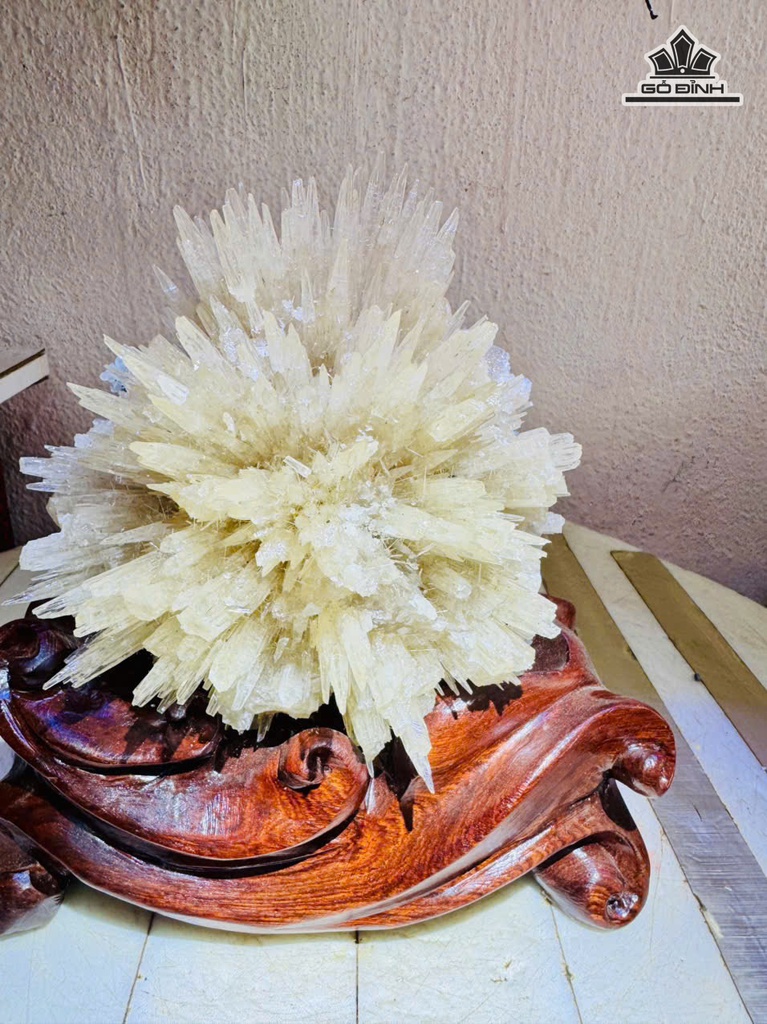 bong-hoa-uu-dam-cao-18-ngang-13-cm-17kg-ca-de-481479