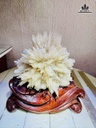 bong-hoa-uu-dam-cao-18-ngang-13-cm-17kg-ca-de-481480