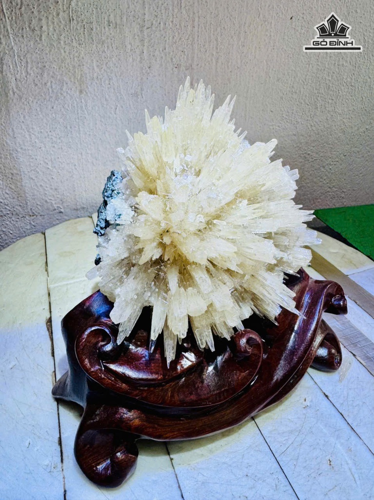 bong-hoa-uu-dam-cao-18-ngang-13-cm-17kg-ca-de-481481