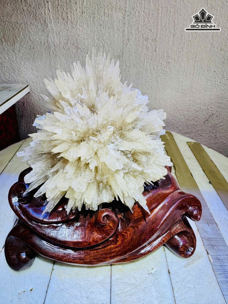 bong-hoa-uu-dam-cao-18-ngang-13-cm-17kg-ca-de-481483