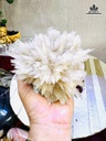 bong-hoa-uu-dam-cao-18-ngang-13-cm-17kg-ca-de-481484