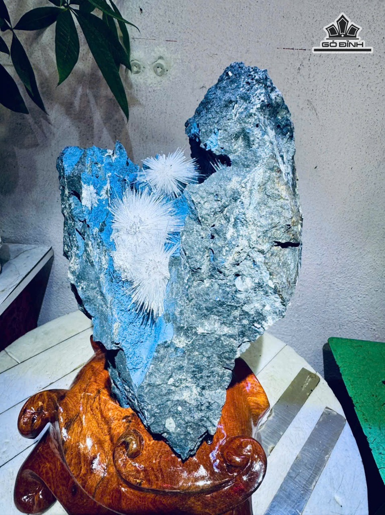 bong-hoa-uu-dam-cao-34-ngang-17-cm-58kg-ca-de-481487