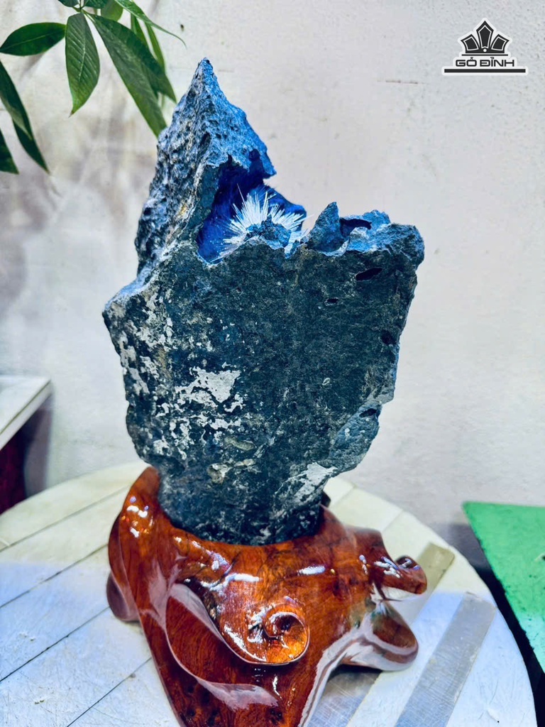bong-hoa-uu-dam-cao-34-ngang-17-cm-58kg-ca-de-481488