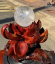 bi-cau-da-thach-anh-phale-duong-kinh-10-ca-de-go-huong-27-ngang-30-cm-148kg-481583
