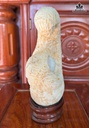 san-ho-om-oc-ngoc-cao-205-ngang-8-cm-083kg-481602
