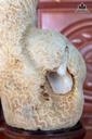 san-ho-om-oc-ngoc-cao-205-ngang-8-cm-083kg-481603
