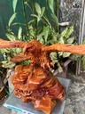 tuong-dai-bang-san-moi-go-huong-cao-45-ngang-68-sau-33-cm-481668