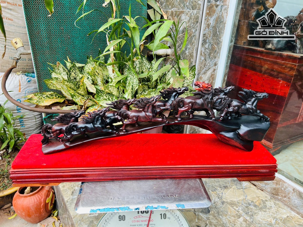 tuong-ma-dao-thanh-cong-go-trac-cao-27-ngang-63-sau-15-cm-481677