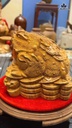 tuong-coc-ngam-tien-go-ngoc-am-cao-33-ngang-40-sau-40-cm-481998