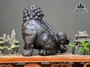 tuong-lan-su-go-trac-cao-32-ngang-30-sau-16-cm-482084