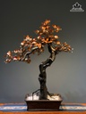 cay-hoa-hong-kich-thuoc-cao-103-ngang-80-sau-40-cm-hoa-bao-ngu-la-go-sua-than-re-nhai-bach-482193