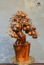 cay-luu-bonsai-go-sua-cao-70-ngang-58-sau-20-cm-482351
