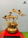 hoa-uyen-uong-ho-diep-go-bach-xanh-cao-50-ngang-42-cm-binh-duong-kinh-23-cao-14-cm-482355