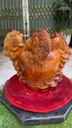 tuong-tam-coc-ngam-tien-go-huong-cao-40-ngang-50-sau-31-cm-482440