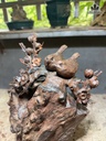 canh-uyen-uong-mai-dieu-go-nu-trac-cao-30-ngang-25-sau-12-cm-482457