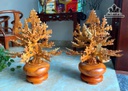 binh-hoa-mai-go-huong-cao-70-ngang-54-sau-33-cm-482612