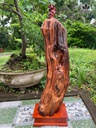 tuong-dat-ma-su-to-go-huong-cao-93-ngang-22-sau-22-cm-482856