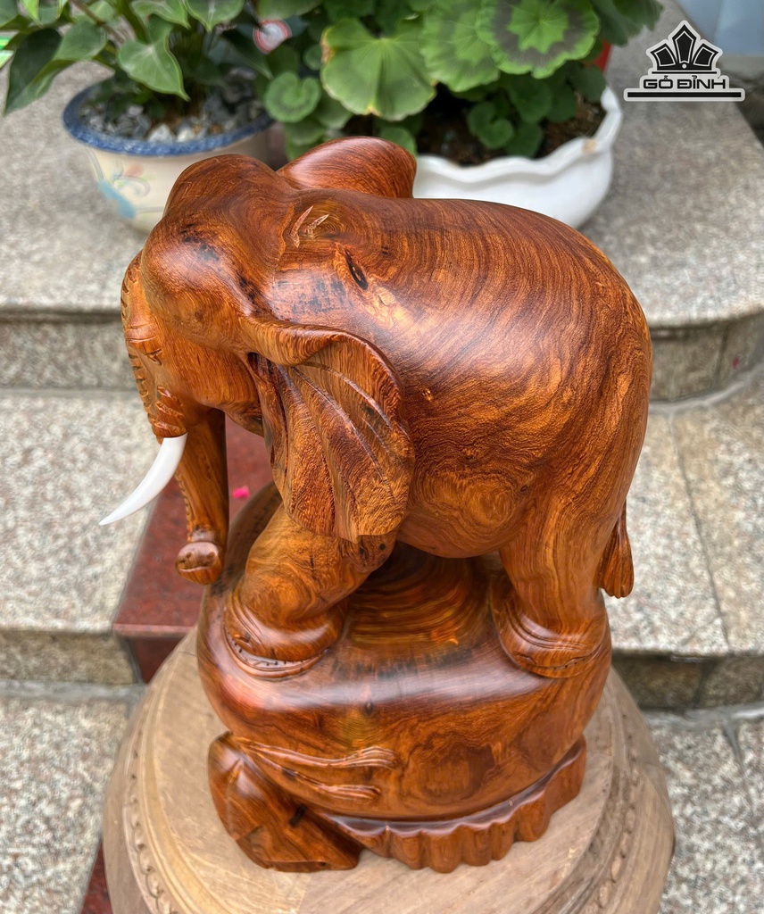 tuong-voi-go-huong-cao-39-ngang-22-sau-17-cm-482994