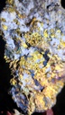 tac-pham-da-pyrite-cao-30-ngang-22-cm-62kg-483045