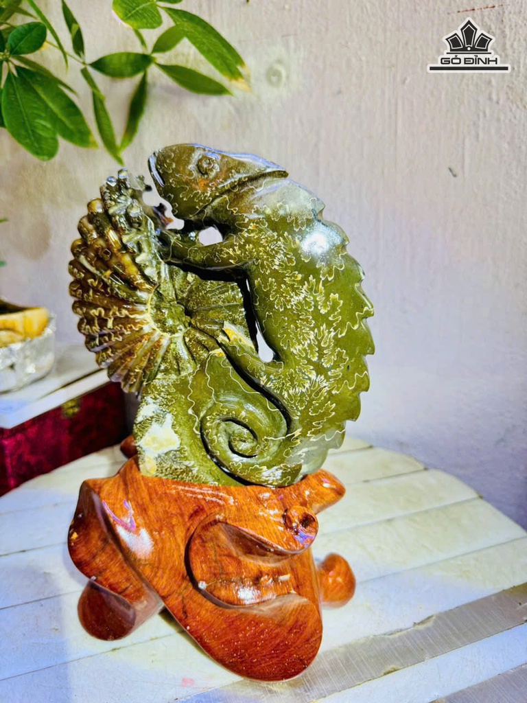 tac-pham-oc-anh-vu-hoa-ngoc-cao-25-ngang-17-cm-19kg-483118