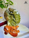 tac-pham-oc-anh-vu-hoa-ngoc-cao-25-ngang-17-cm-19kg-483118