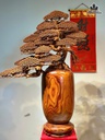 cap-binh-tung-go-cam-paorosa-cao-112-ngang-73-sau-35-cm-duong-kinh-binh-29-cm-tang-don-483128