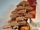 cap-binh-tung-go-cam-paorosa-cao-112-ngang-73-sau-35-cm-duong-kinh-binh-29-cm-tang-don-483129
