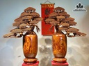 cap-binh-tung-go-cam-paorosa-cao-112-ngang-73-sau-35-cm-duong-kinh-binh-29-cm-tang-don-483131