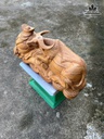 tuong-trau-go-ngoc-am-cao-21-ngang-52-sau-18-cm-483581