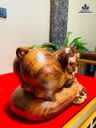 tuong-heo-go-cam-cao-26-ngang-38-sau-26-cm-483700