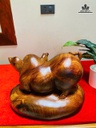 tuong-heo-go-cam-cao-26-ngang-38-sau-26-cm-483702