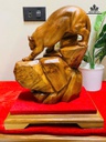 tuong-bao-san-moi-go-nu-ngoc-am-cao-28-ngang-22-sau-13-cm-483843