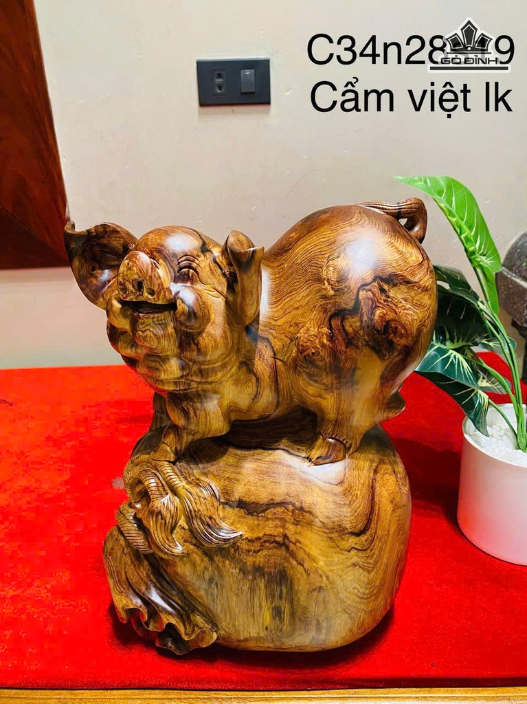 tuong-heo-go-cam-cao-34-ngang-28-sau-19-cm-483860